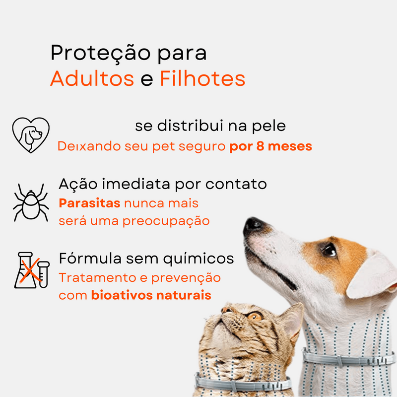 Colar Anti Pulgas e Carrapatos